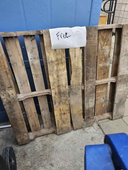 Photo of free Palette (Ontaro) #1