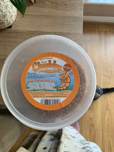 Photo of free Fish and turtle / terrapin food (Manchester M8) #2