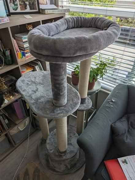 Photo of free Cat Tree (92 X 101) #1