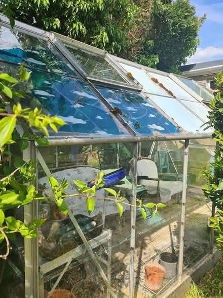 Photo of free Green house (Peasedown St John) #3