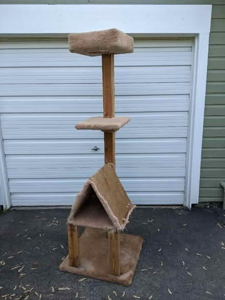Photo of free Cat tree scratching post (Lombard) #3