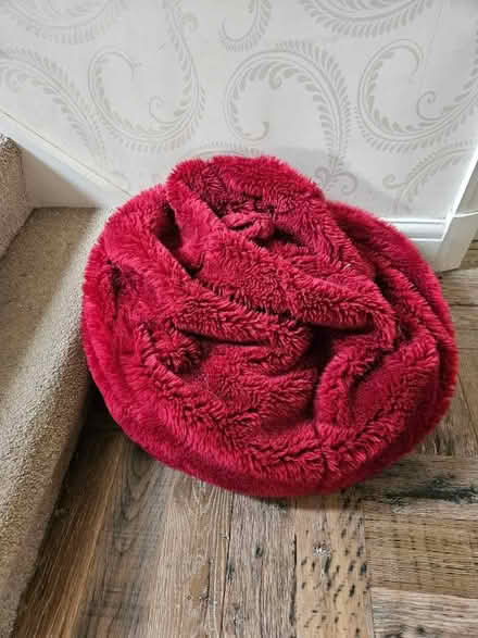 Photo of free Red bean bag looks brighter on the photo than in actuality. (Slyne-with-Hest LA2) #1