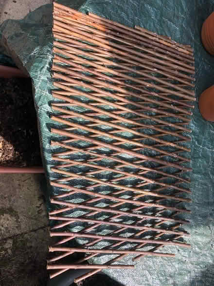 Photo of free Expanding willow trellis (Broadclyst) #1