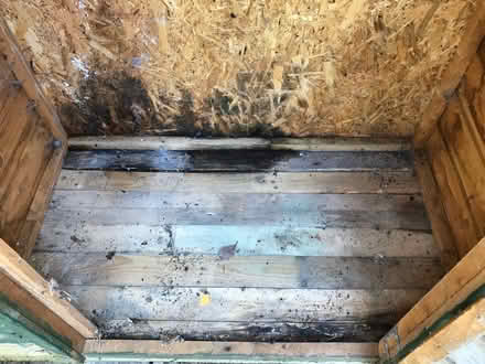 Photo of free Small garden shed (Royston SG8) #4