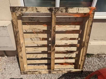 Photo of free Wooden pallet (NG4) #1