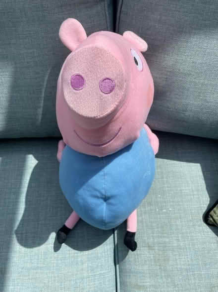 Photo of free Large George Pig (Woodingdean BN2) #1