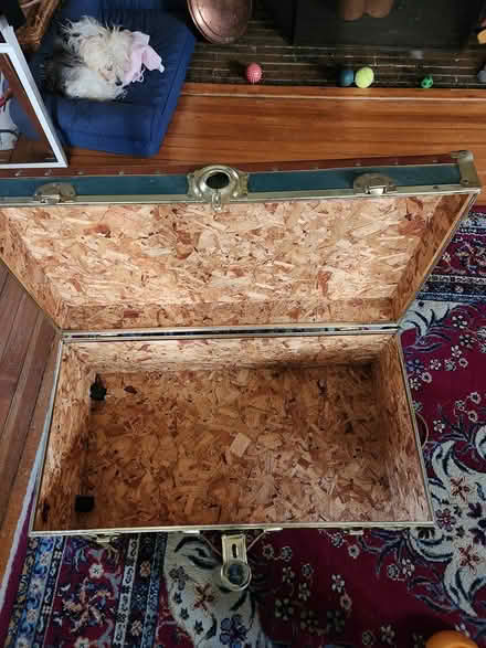Photo of free Storage/CollegeTrunk (Montclair) #2