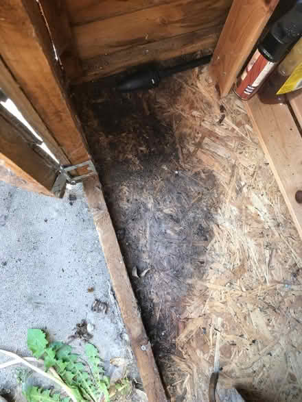 Photo of free Another small garden shed (Royston SG8) #3
