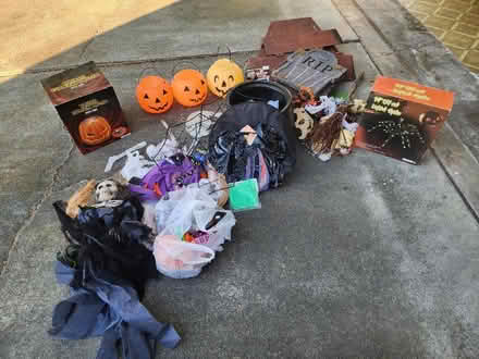 Photo of free Lots of Halloween decor items (Near wilcox high school) #1
