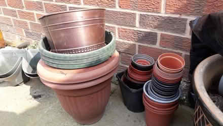 Photo of free Plantpots (Robin Hood LS10) #1