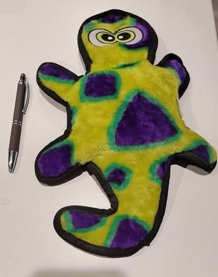 Photo of free Squeaky Dog Toy (Millbrook, NY) #1
