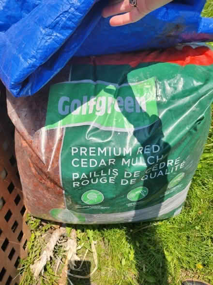 Photo of free Cedar mulch & mushroom compost (Nepean) #1