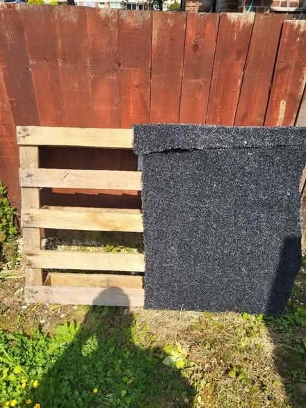 Photo of free Pallet (Chelmsford CM1) #1