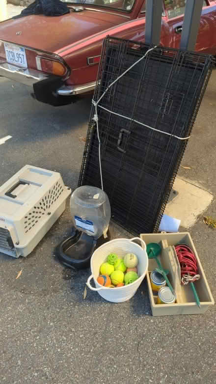 Photo of free Assorted dog or cat items (near San Rafael high school) #1