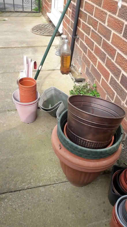 Photo of free Plant pots various sizes. Collection LS104QG (Robin Hood LS10) #1