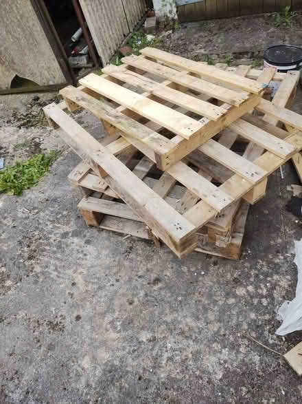 Photo of free Pallets x4 (Long Ashton BS41) #1