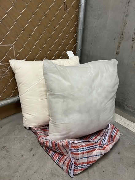 Photo of free New cushion inserts, clean (Richmond) #1