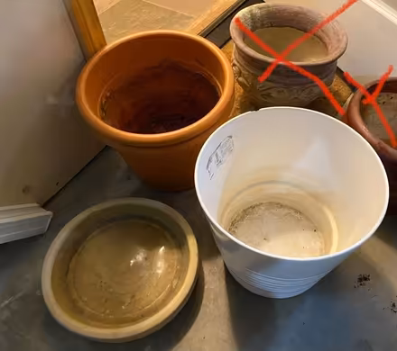 Photo of free Plant pots and saucers (Greenwood) #1