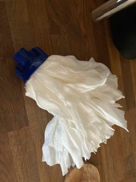 Photo of free Mop head (ME8) #1