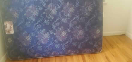 Photo of free Full size bed and box spring (Wittenberg rd Mt Tremper ny) #1
