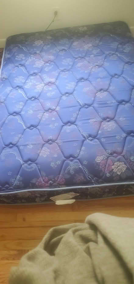 Photo of free Full size bed and box spring (Wittenberg rd Mt Tremper ny) #2