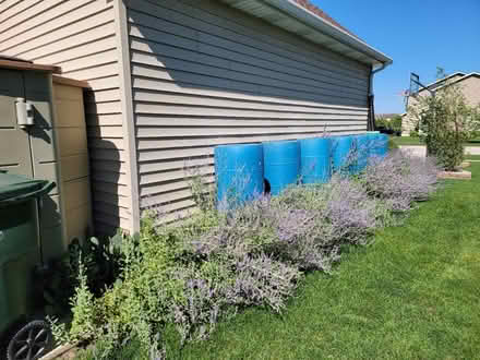 Photo of free rain barrels + cinder blocks (1233 clifton dr, minooka, IL.) #1