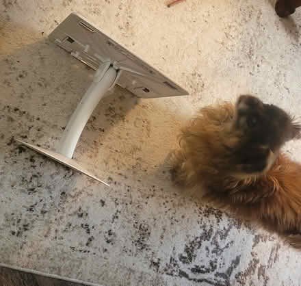 Photo of free Lap desk (Worldgate, Herndon) #4