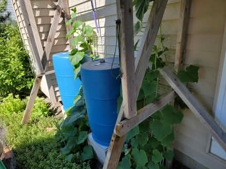 Photo of free rain barrels + cinder blocks (1233 clifton dr, minooka, IL.) #4