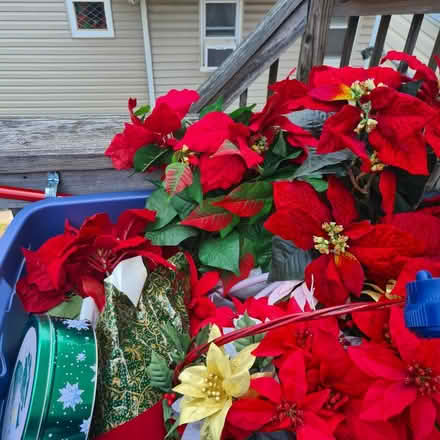 Photo of free christmas decorations (Prospect Park NJ) #4