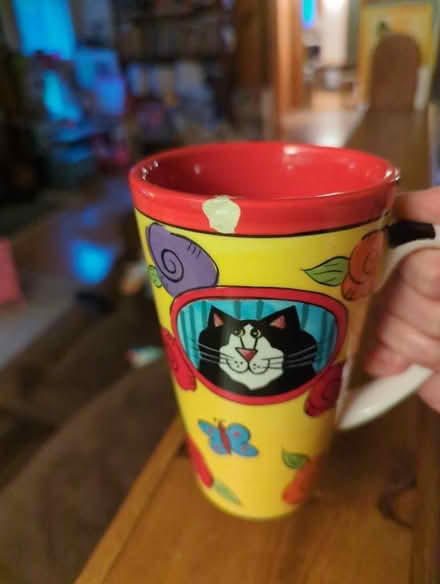 Photo of free Beloved chipped cat mug (Beacon, NY) #1