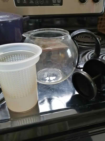 Photo of free Bodrum tea pot (Roncesvalles) #2