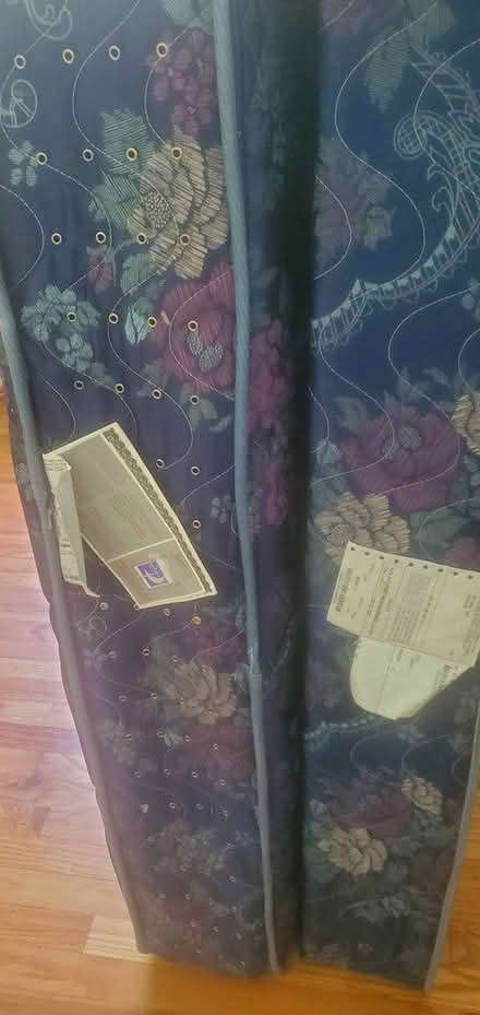 Photo of free Full size bed and box spring (Wittenberg rd Mt Tremper ny) #3