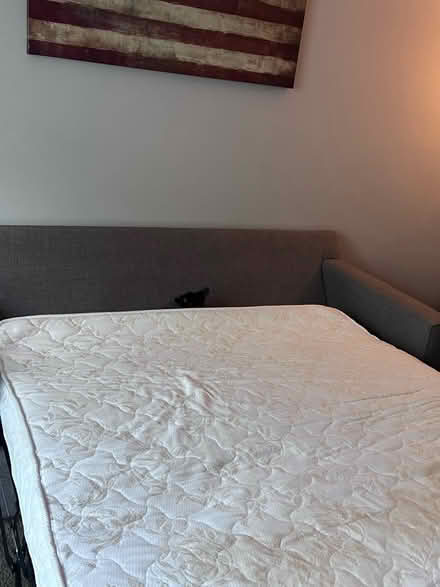 Photo of free pull out sofa. must have 2 people (vienna metro station) #3
