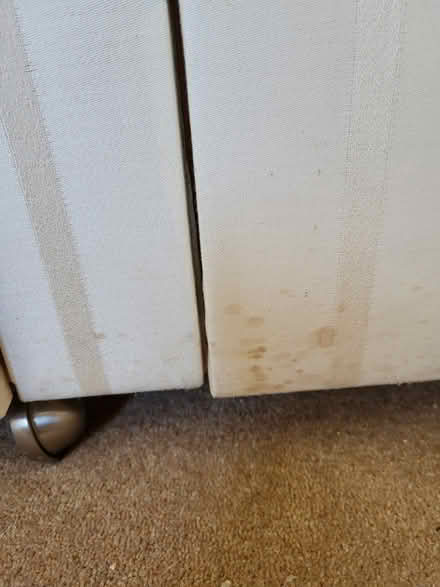 Photo of free Single bed base (Hove, BN3) #2