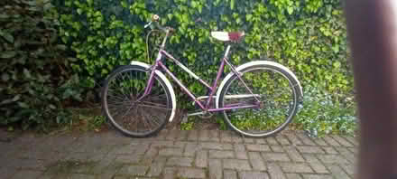 Photo of free Ladies Cycle (West Bergholt CO6) #1