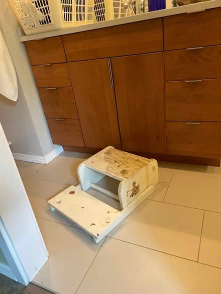 Photo of free Booster stool (Bothell, Maywood Hill) #1