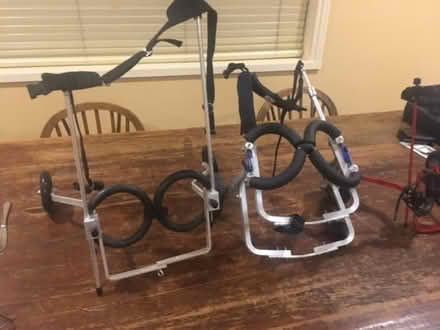 Photo of free dog wheelchairs (elsternwick) #1