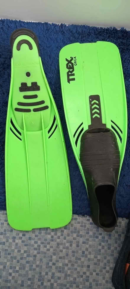 Photo of free Pair of Flippers (West Bergholt CO6) #1