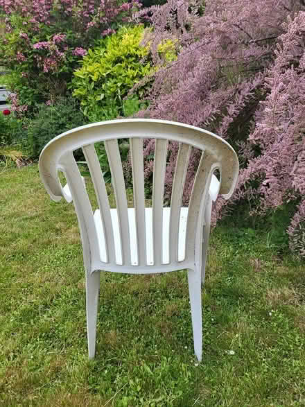 Photo of free Patio / lawn chair (Hove, BN3) #1