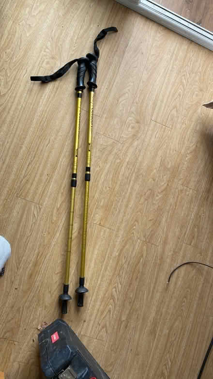 Photo of free Walking poles small to medium (Buckley Hill L30) #1