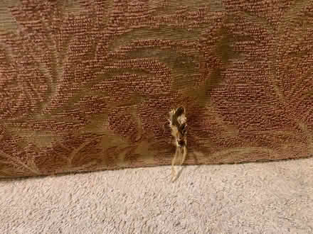 Photo of free Old couch (Mandeville) #1