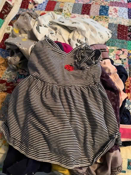 Photo of free Small Lot Girl Baby Clothes plus… (Englewood) #1