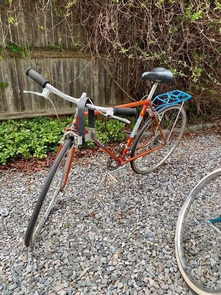 Photo of free Bikes (West Medord) #3