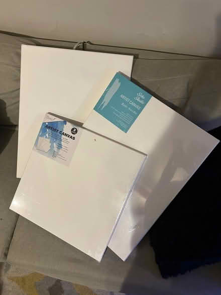 Photo of free Artist Canvases (Rittenhouse) #1