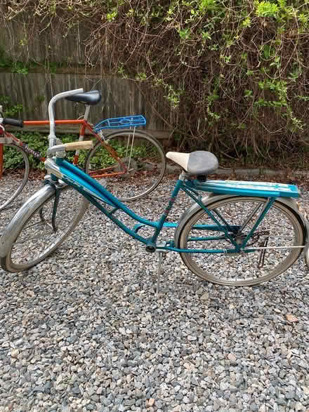 Photo of free Bikes (West Medord) #1