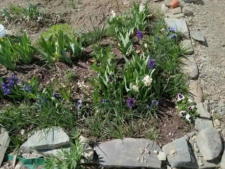 Photo of Rocks to line garden beds (Searsmont, ME) #2