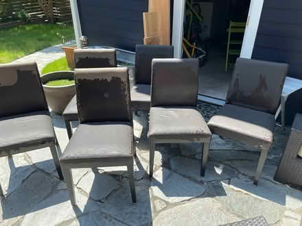 Photo of free Dining Chairs (Capitol Hill) #4