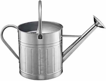 Photo of watering can or tea kettle (Pleasanton near Hopyard) #1