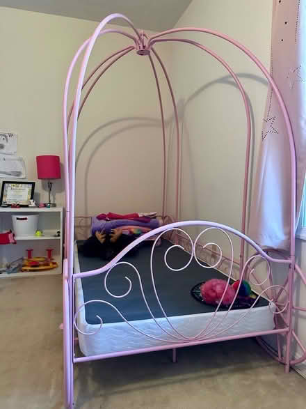 Photo of free Pink canopy bed (McLean, VA) #1