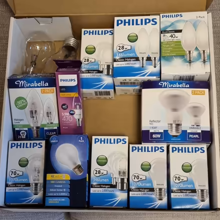 Photo of free Assorted Light Globes (Pyrmont) #1